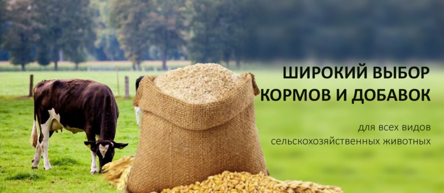 ДОСТАВКА ПО САРАНСКУ ЗА НАШ СЧЕТ ПРИ ЗАКАЗЕ СВЫШЕ 5 ТЫС РУБ!!!